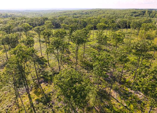 Property at Parcel 2 West Y Rd, Exeland, WI 54835