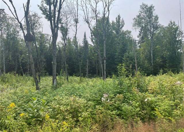 Property at ON Old 13 Rd Unit 6+/- Acres, Butternut, WI 54514