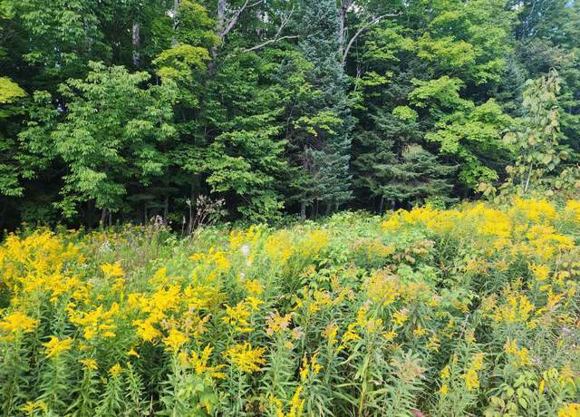 Property at ON East Ln, Crandon, WI 54520