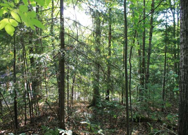 Property at Lot 16 Alpine Dr, Hurley, WI 54565