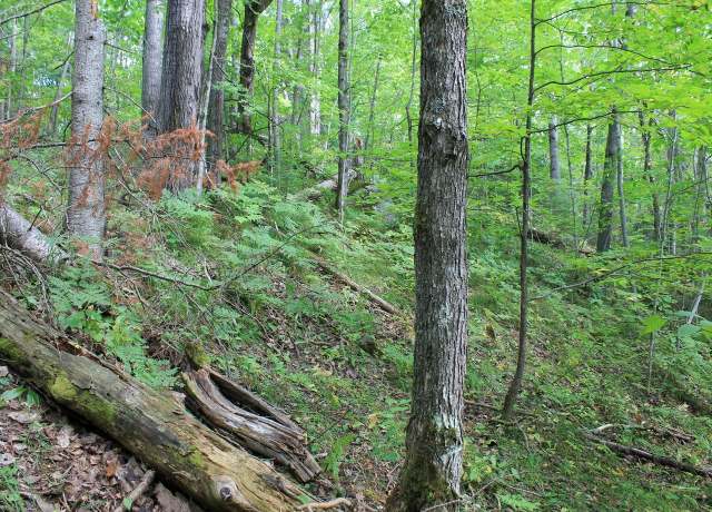 Property at Lot 15 Alpine Dr, Hurley, WI 54565