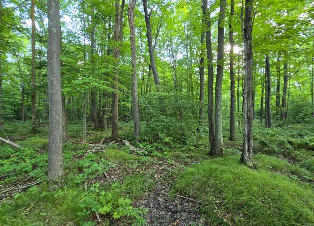 Property at OFF Cth Cc Unit 20 Acres, Gleason, WI 54435