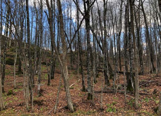 Property at Outlot 3 Skye Dr, Upson, WI 54565