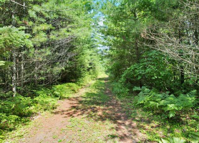 Property at 20 ac Spirit Wood Trl, Land O Lakes, WI 54540