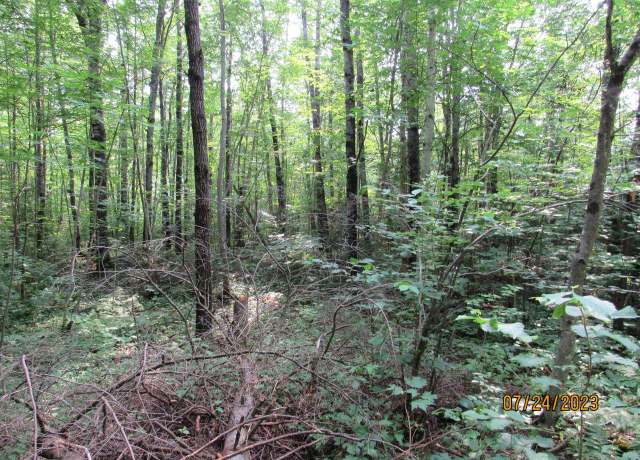Property at ON Highbridge Trl Lot (MP), Phillips, WI 54555