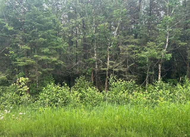 Property at 5 AC On. Worsech Rd, Catawba, WI 54515