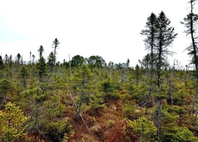 Property at OFF Jacks Rd, Phillips, WI 54555