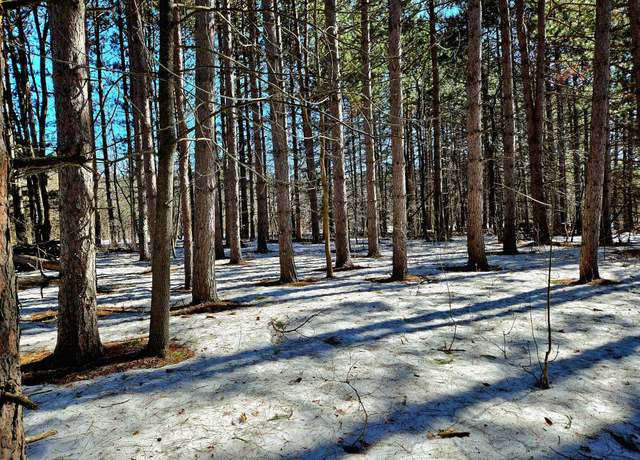 Property at TBD Storm Watch Dr, Bessemer, MI 49911