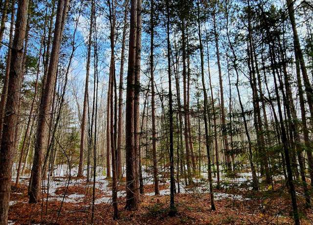 Property at ON Mishonagon Way, Lac Du Flambeau, WI 54538