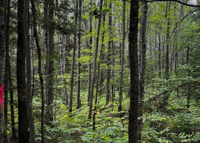 Property at Pinelake Pine Lake Rd #2, Minocqua, WI 54548