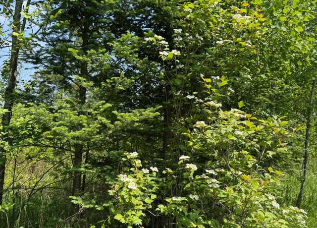 Property at ON Cth T, WI 54462