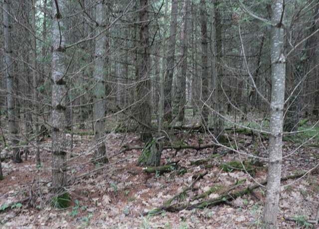 Property at Lot 4 Cth J, Mercer, WI 54547