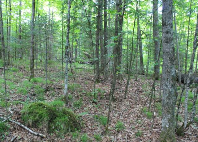Property at ON Tower Ridge Rd, Mercer, WI 54547