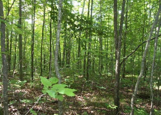 Property at ON Red Rock Rd, Silver Cliff, WI 54104