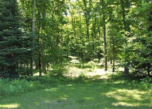 Property at TBD Hwy 424, Crystal Falls, MI 49920
