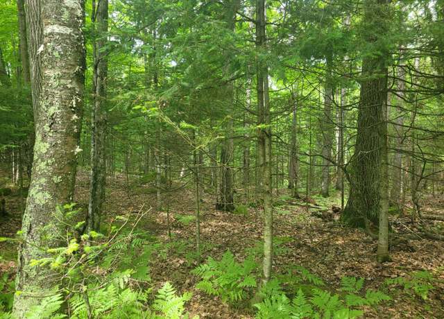 Property at Lot 9 Buck Ridge Dr, Eagle River, WI 54521