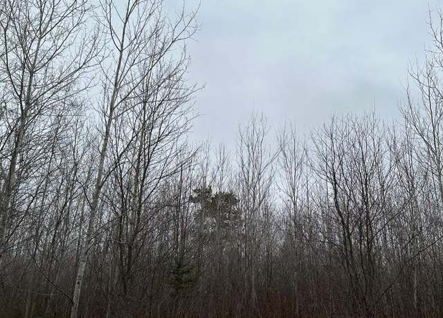 Property at ON Burrows Lake Rd Unit 4067-A, WI 54487