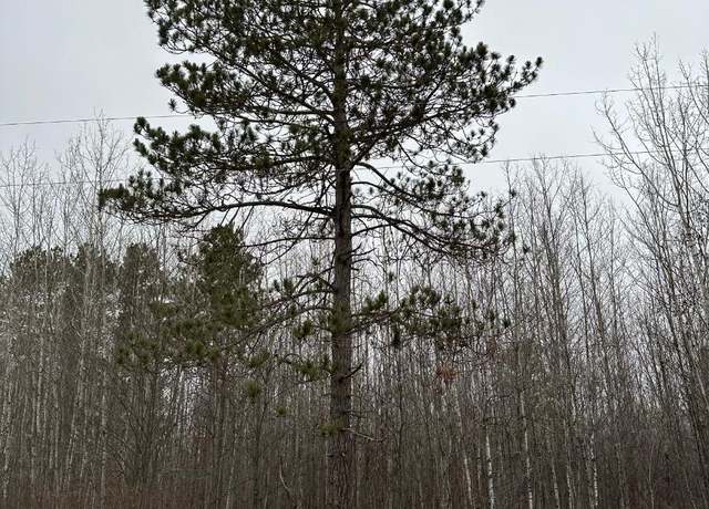 Property at ON Burrows Lake Rd Unit 4067-B, WI 54487