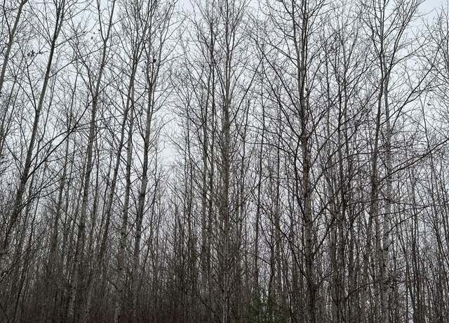 Property at ON Burrows Lake Rd Unit 4067-E, WI 54487