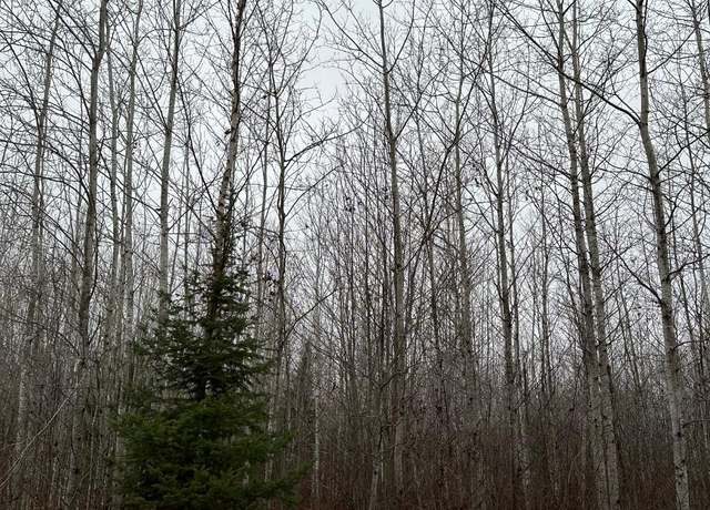 Property at ON Burrows Lake Rd Unit 4067-F, WI 54487