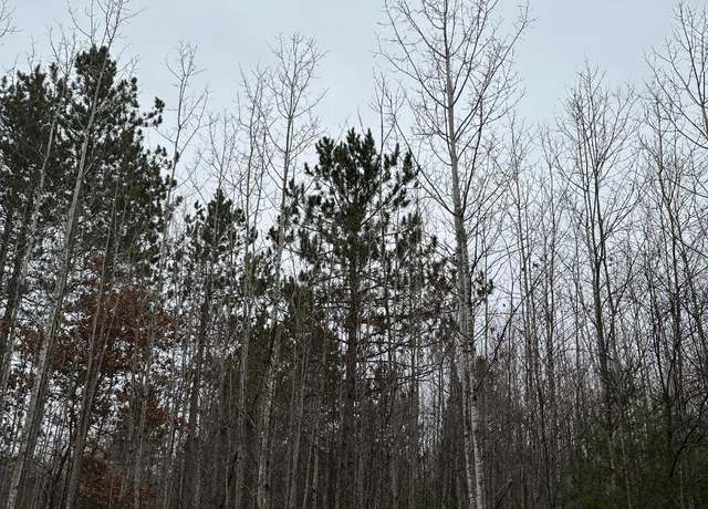 Property at ON Burrows Lake Rd Unit 4067-G, WI 54487