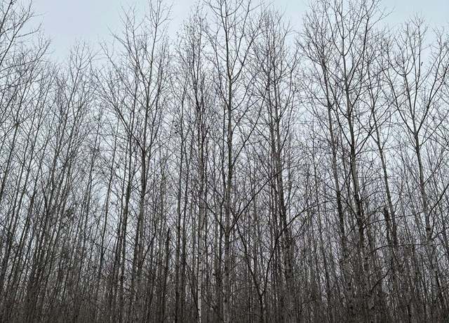 Property at ON Burrows Lake Rd Unit 4067-I, WI 54487