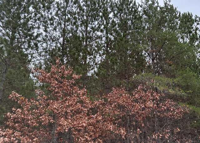 Property at ON Lois Rd Unit 4069-3, WI 54487