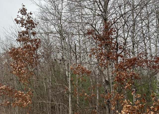 Property at ON Swamp Creek Rd Unit 4069-4, WI 54487