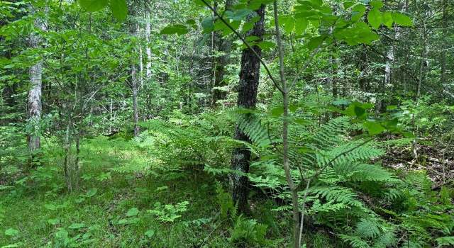 Photo of ON Cth Ff Unit 1.5 Acres, Mercer, WI 54547