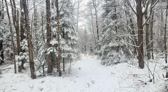 Photo of ON Watersmeet Lake Rd Lot 2, Eagle River, WI 54521