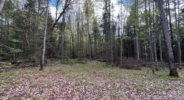 Photo of ON Ripco Rd, Eagle River, WI 54521