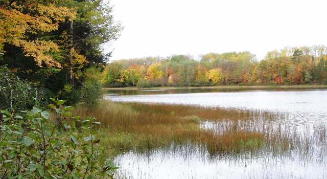 Photo of Lot 4 Black Bear Ln, Phelps, WI 54554