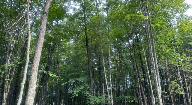 Photo of Lot 5 Pine Breeze Way, Eagle River, WI 54521