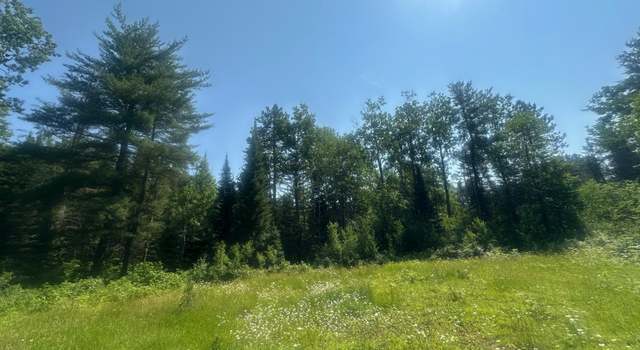 Photo of 4204 Hegemann Rd, Conover, WI 54519