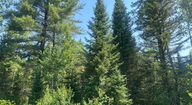 Photo of 4204 Hegemann Rd, Conover, WI 54519