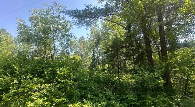 Photo of 4204 Hegemann Rd, Conover, WI 54519