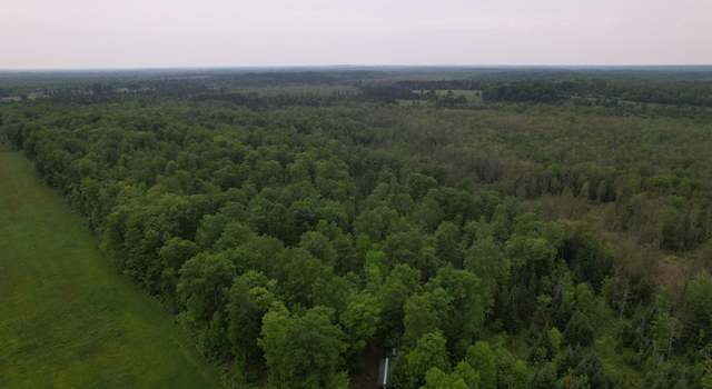 Photo of Off Creamery Rd Unit 40 acres, Butternut, WI 54452