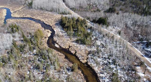 Photo of 37 Acres Porky Ln, Lily, WI 54491