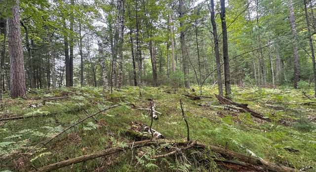 Photo of 1257 Tall Pine Ter Unit 7 & 14, St Germain, WI 54558