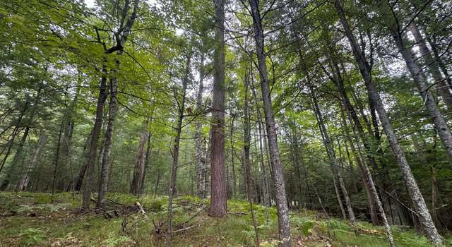 Photo of 1257 Tall Pine Ter Unit 7 & 14, St Germain, WI 54558