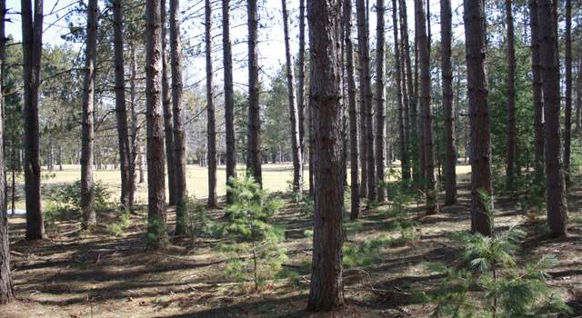 Photo of ON Pine Grove Crk Unit 166-167, Minocqua, WI 54548