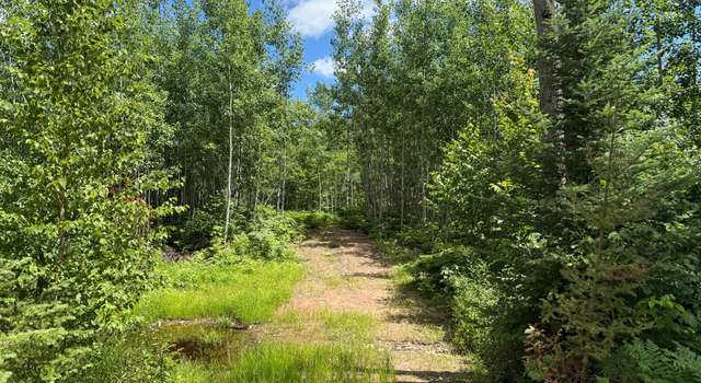 Photo of Lot 4 Grundy Rd, Tomahawk, WI 54487