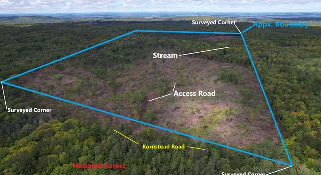 Photo of ON Kornstead Rd Unit 80± acre, Mellen, WI 54546