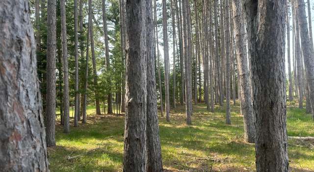 Photo of ON Illinois St Lot 2, Eagle River, WI 54521