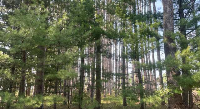 Photo of ON Illinois St Lot 2, Eagle River, WI 54521