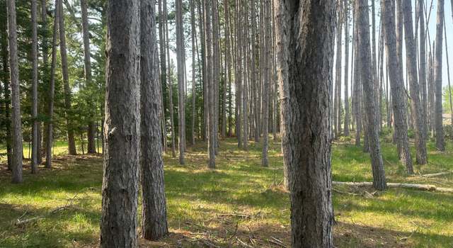 Photo of ON Illinois St Lot 2, Eagle River, WI 54521