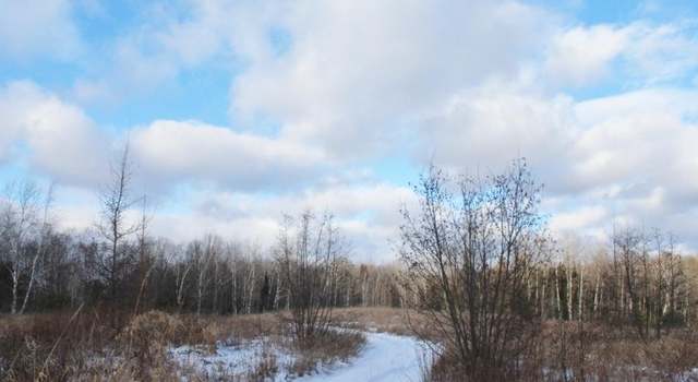 Photo of 120 Ac Summit Lake Dr, Elcho, WI 54428