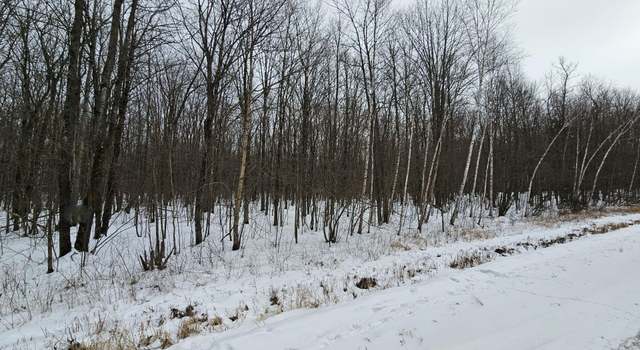 Photo of 40 ACRES Liberty Ln, WI 54555