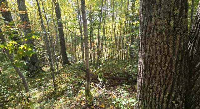 Photo of NEAR Long Lake Rd S, Rhinelander, WI 54501