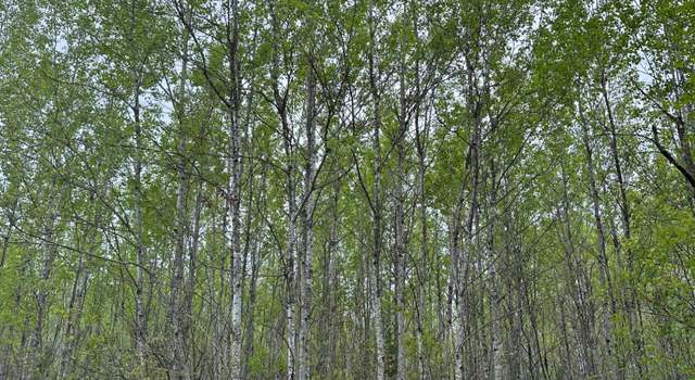 Photo of ON Burrows Lake Rd Lot 2, Tomahawk, WI 54487
